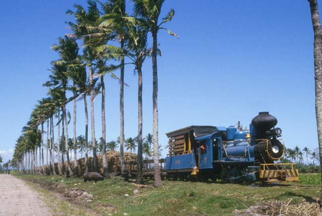 Nr. 7 unterwegs zur Zuckermühle. 2006 sind die Palmen gefällt, und Nr. 7 bewegt sich nur noch für Geld., Foto: Hans Hufnagel